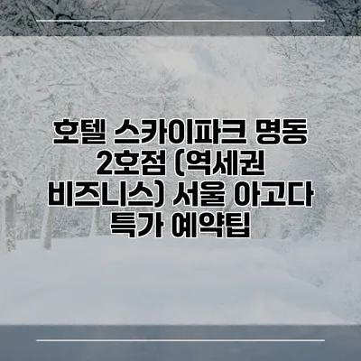 호텔 스카이파크 명동 2호점 (역세권 비즈니스) 서울 아고다 특가 예약팁