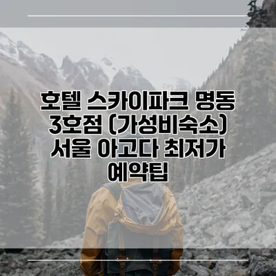 호텔 스카이파크 명동 3호점 (가성비숙소) 서울 아고다 최저가 예약팁