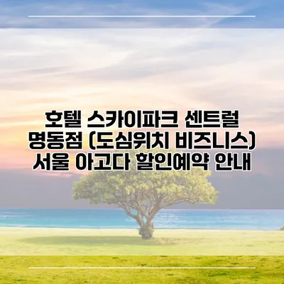 호텔 스카이파크 센트럴 명동점 (도심위치 비즈니스) 서울 아고다 할인예약 안내