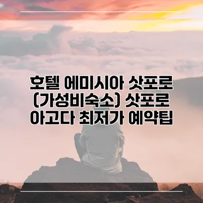 호텔 에미시아 삿포로 (가성비숙소) 삿포로 아고다 최저가 예약팁