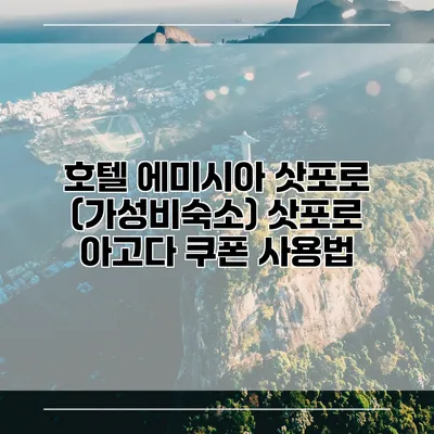 호텔 에미시아 삿포로 (가성비숙소) 삿포로 아고다 쿠폰 사용법