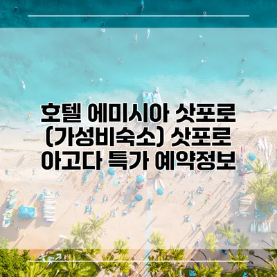 호텔 에미시아 삿포로 (가성비숙소) 삿포로 아고다 특가 예약정보