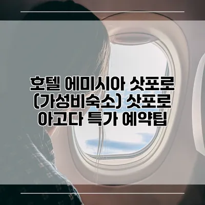 호텔 에미시아 삿포로 (가성비숙소) 삿포로 아고다 특가 예약팁