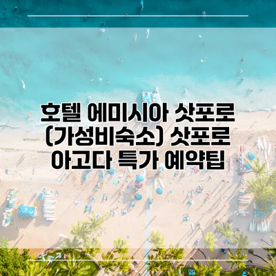 호텔 에미시아 삿포로 (가성비숙소) 삿포로 아고다 특가 예약팁