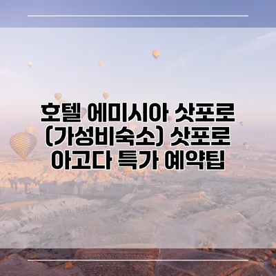호텔 에미시아 삿포로 (가성비숙소) 삿포로 아고다 특가 예약팁