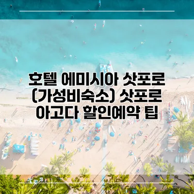호텔 에미시아 삿포로 (가성비숙소) 삿포로 아고다 할인예약 팁