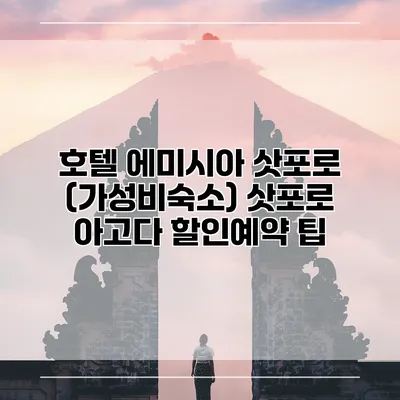 호텔 에미시아 삿포로 (가성비숙소) 삿포로 아고다 할인예약 팁