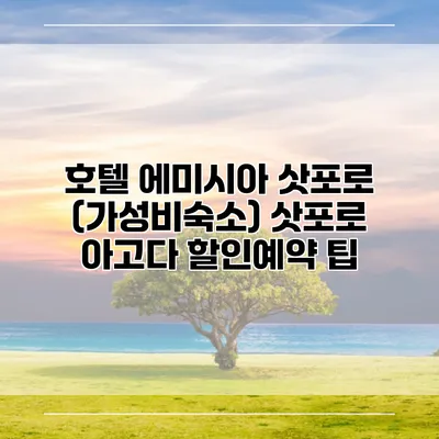 호텔 에미시아 삿포로 (가성비숙소) 삿포로 아고다 할인예약 팁