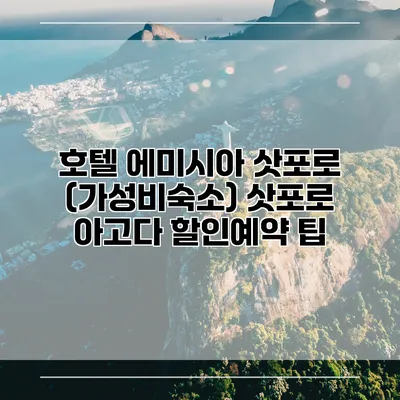 호텔 에미시아 삿포로 (가성비숙소) 삿포로 아고다 할인예약 팁
