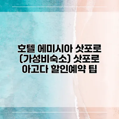 호텔 에미시아 삿포로 (가성비숙소) 삿포로 아고다 할인예약 팁