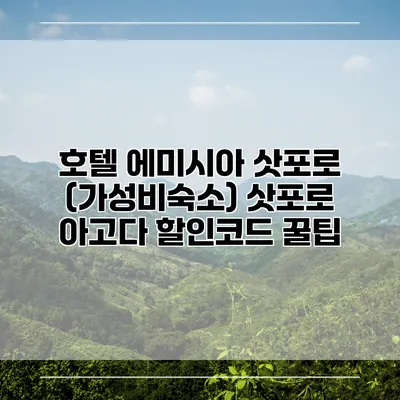 호텔 에미시아 삿포로 (가성비숙소) 삿포로 아고다 할인코드 꿀팁