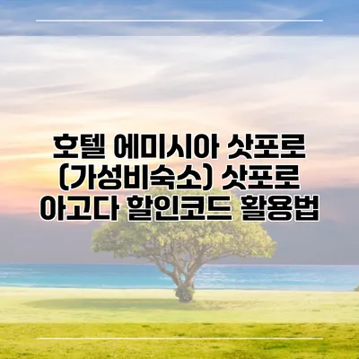 호텔 에미시아 삿포로 (가성비숙소) 삿포로 아고다 할인코드 활용법