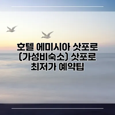 호텔 에미시아 삿포로 (가성비숙소) 삿포로 최저가 예약팁