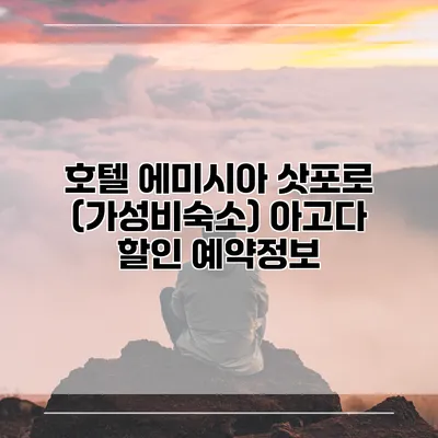 호텔 에미시아 삿포로 (가성비숙소) 아고다 할인 예약정보