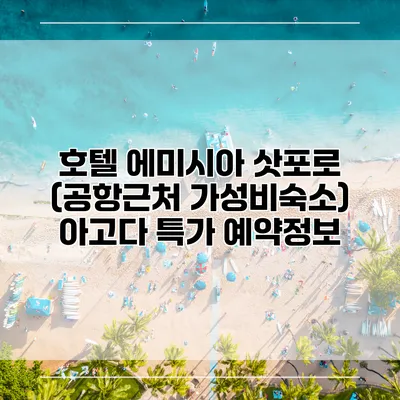 호텔 에미시아 삿포로 (공항근처 가성비숙소) 아고다 특가 예약정보