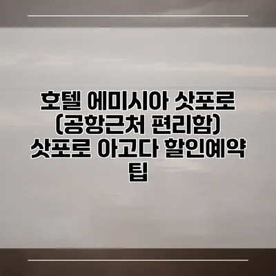 호텔 에미시아 삿포로 (공항근처 편리함) 삿포로 아고다 할인예약 팁