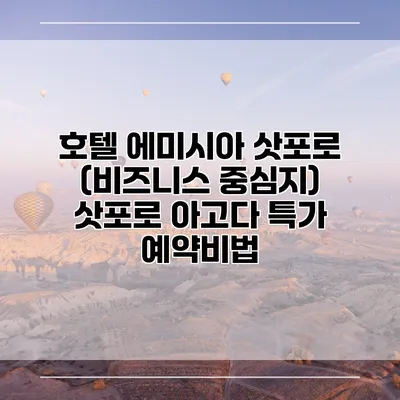 호텔 에미시아 삿포로 (비즈니스 중심지) 삿포로 아고다 특가 예약비법