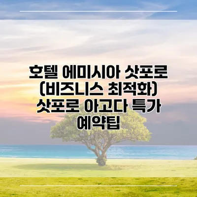 호텔 에미시아 삿포로 (비즈니스 최적화) 삿포로 아고다 특가 예약팁