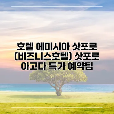 호텔 에미시아 삿포로 (비즈니스호텔) 삿포로 아고다 특가 예약팁