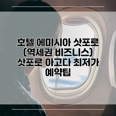호텔 에미시아 삿포로 (역세권 비즈니스) 삿포로 아고다 최저가 예약팁