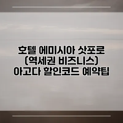 호텔 에미시아 삿포로 (역세권 비즈니스) 아고다 할인코드 예약팁
