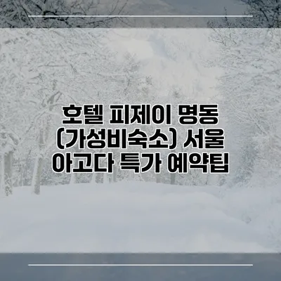 호텔 피제이 명동 (가성비숙소) 서울 아고다 특가 예약팁