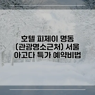 호텔 피제이 명동 (관광명소근처) 서울 아고다 특가 예약비법